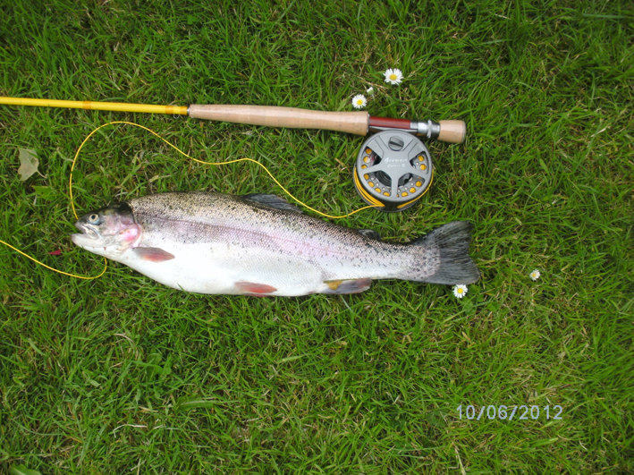Genwair Confidence Fly Rod