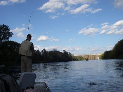 Fly Fishing