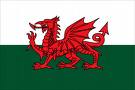 Welsh Flag